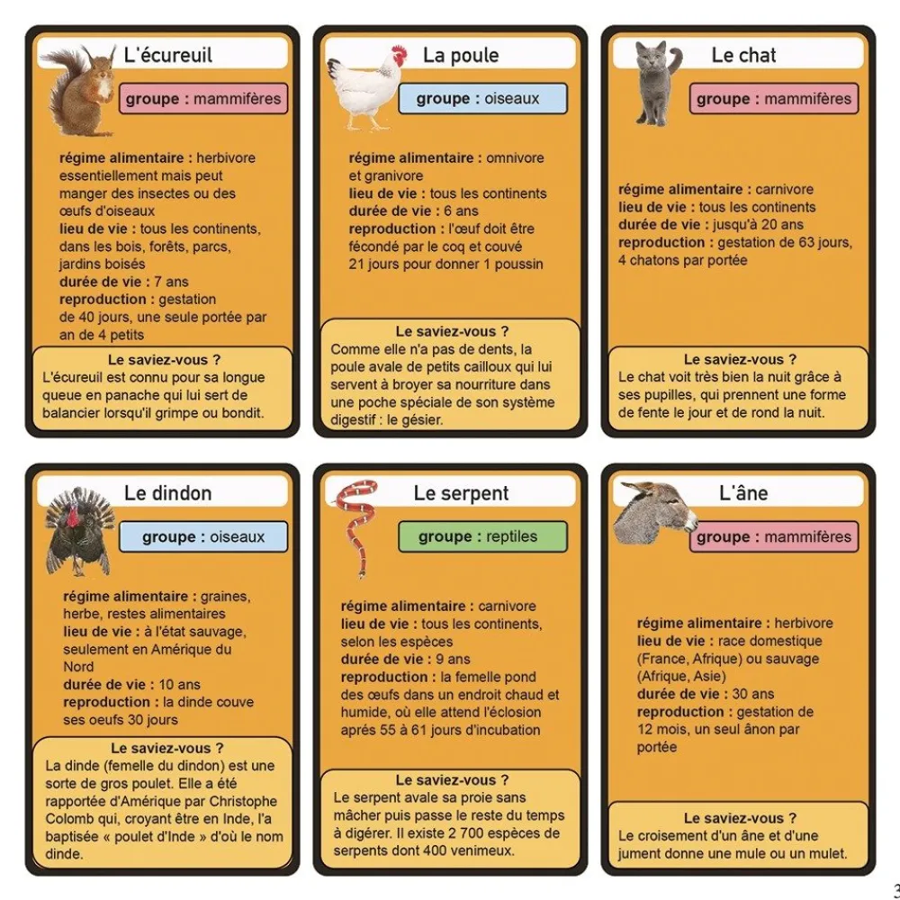 HOPTOYS Lecture<Tricogito Animaux