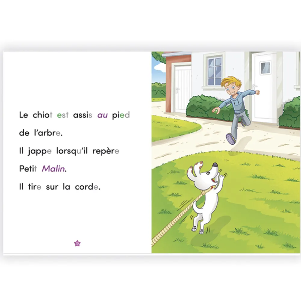HOPTOYS Lecture<Un Ami Fidele